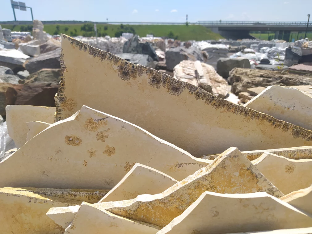 Szczegół okładziny wapiennej z cząsteczkami skamieniałości Szczegół okładziny wapiennej z cząsteczkami skamieniałości